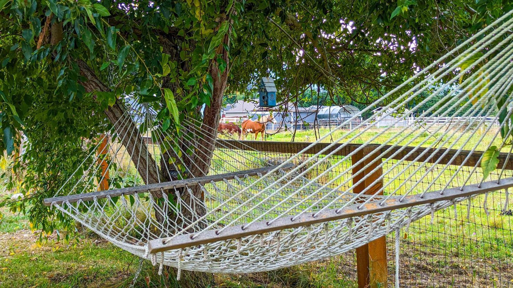Sq Sequim Sunrise Apartment エクステリア 写真